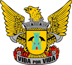 Bombeiros Volunt&aacute;rios de Moncorvo